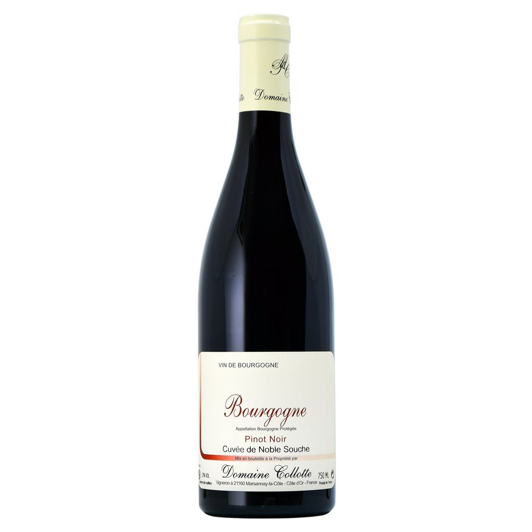 Domaine Collotte Bourgogne Pinot Noir Cuvée de Noble Souche 2023 - Caravan Wines & Spirits