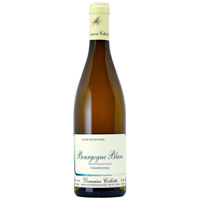 Domaine Collotte Bourgogne Blanc 2024