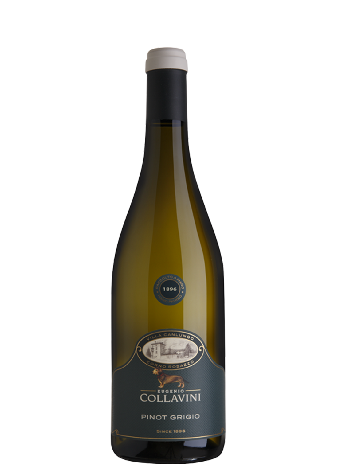 Eugenio Collavini Pinot Grigio Canlungo 2020