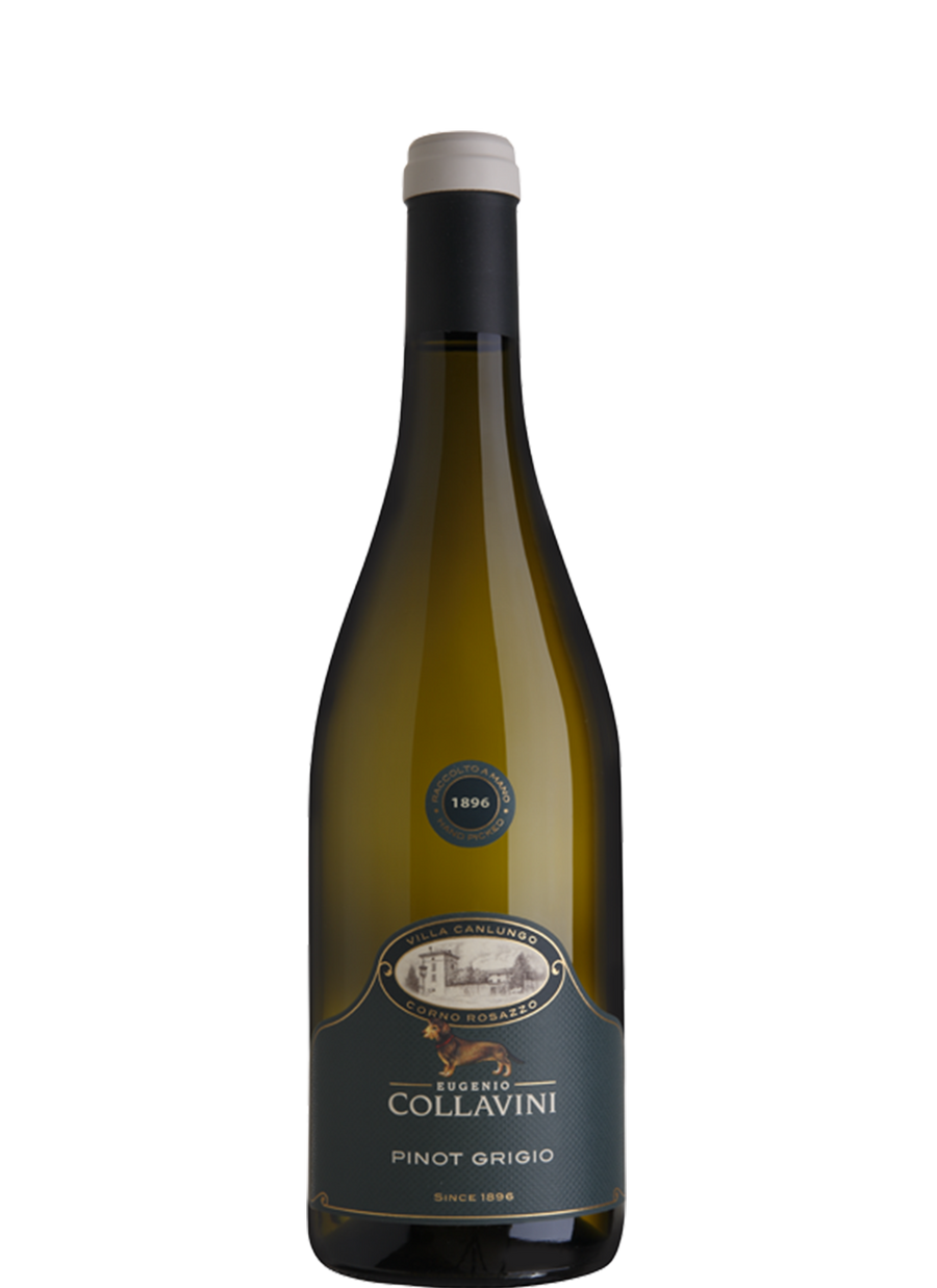 Eugenio Collavini Pinot Grigio Canlungo 2020