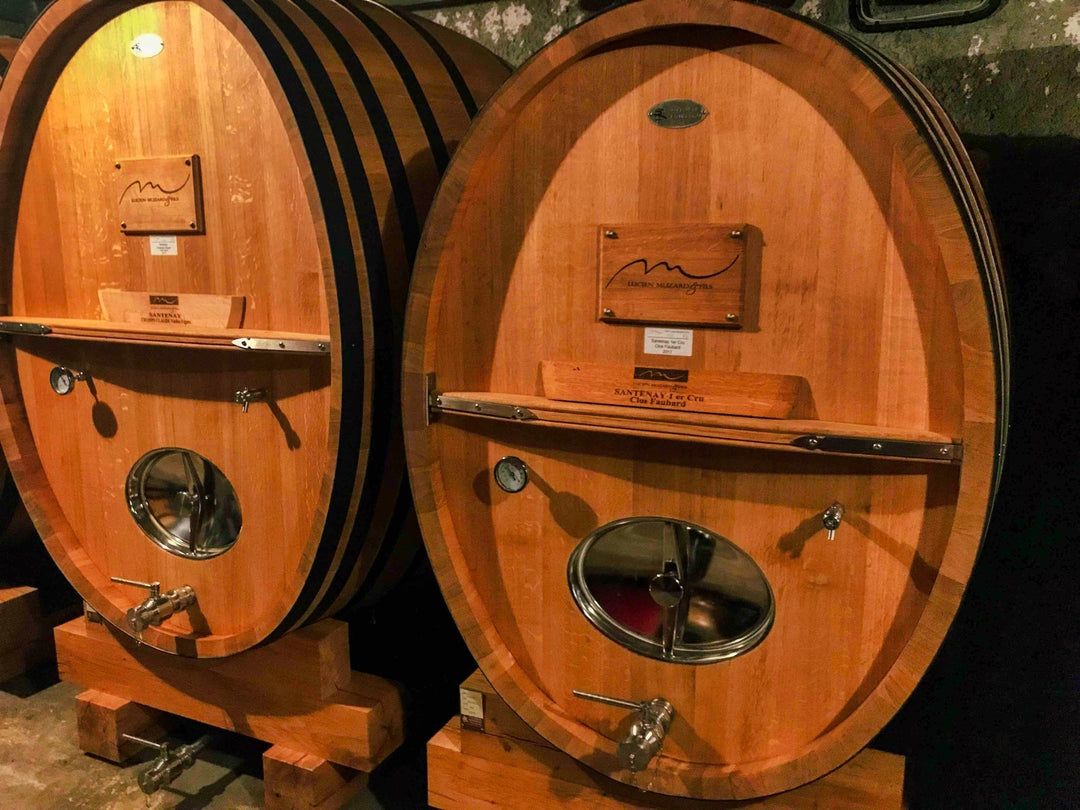 Discover Domaine Lucien Muzard: Historic Santenay Wines with a Modern, Organic Touch