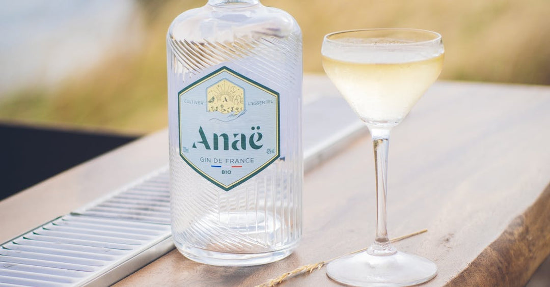 3 Easy Nosferatu Gin Highballs for Hot Aussie Nights (No Fancy Bar Tools)