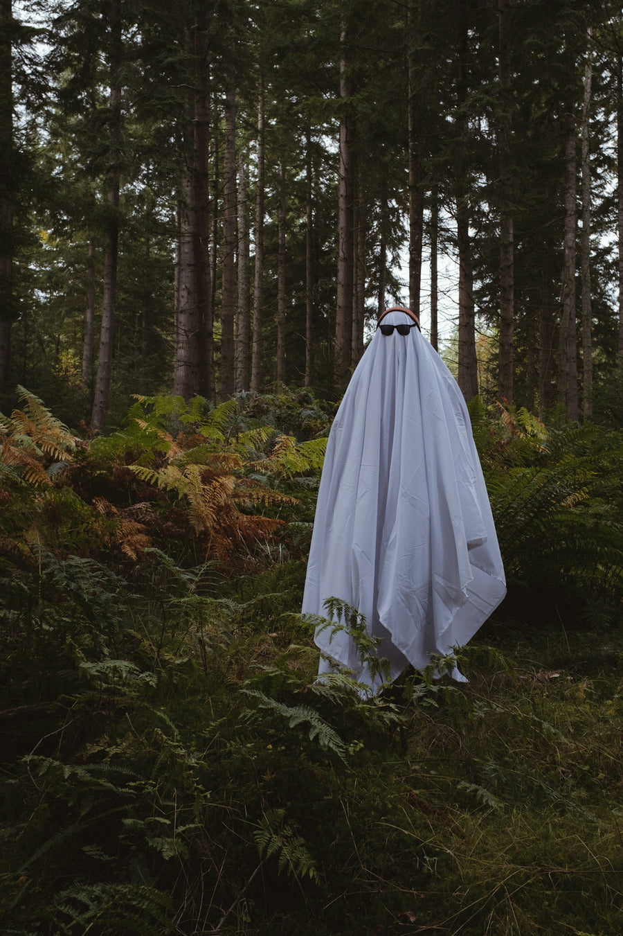 a white dress in a forest