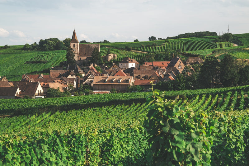 a small village surrounded by lush green fields