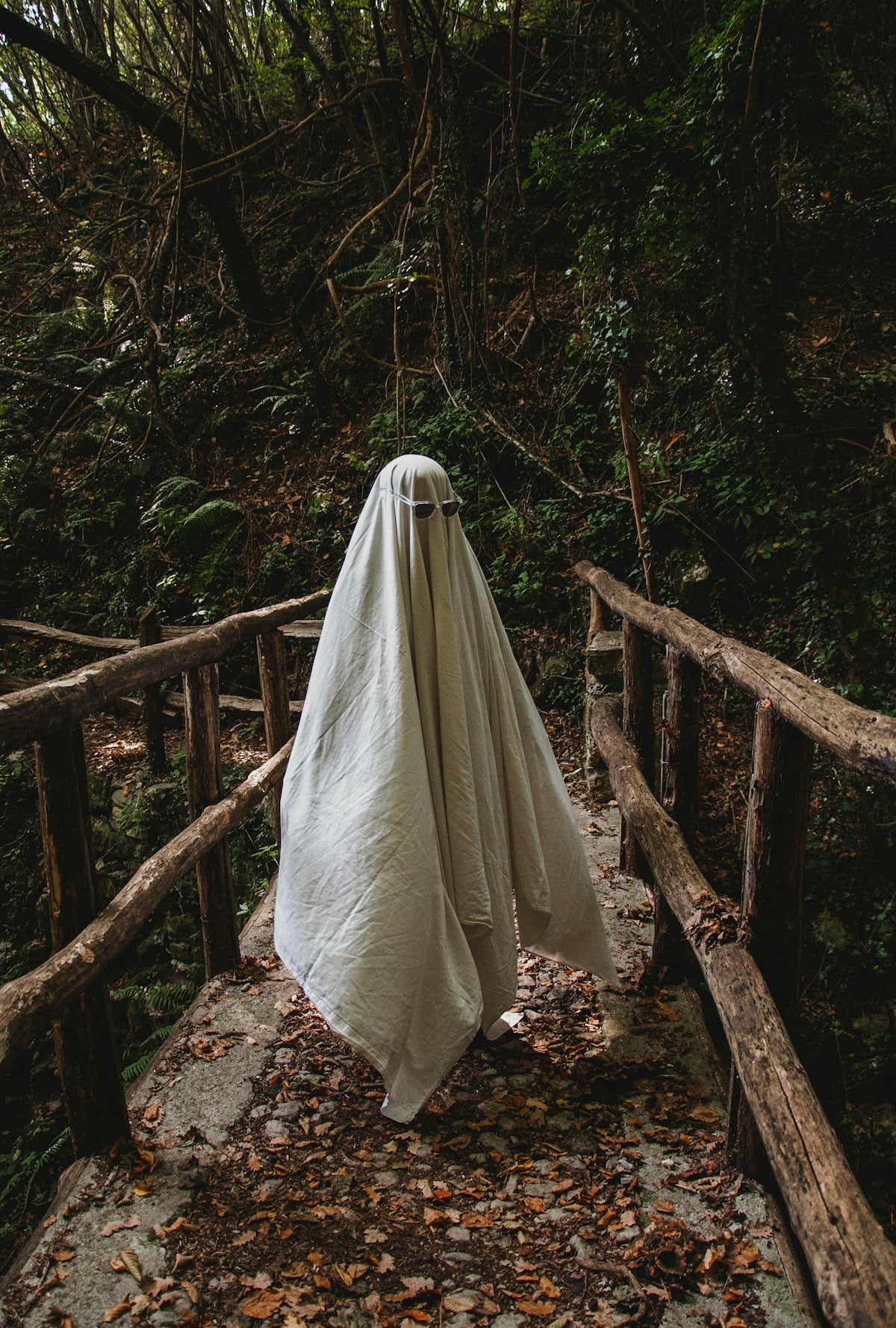 a ghost is walking across a bridge in the woods