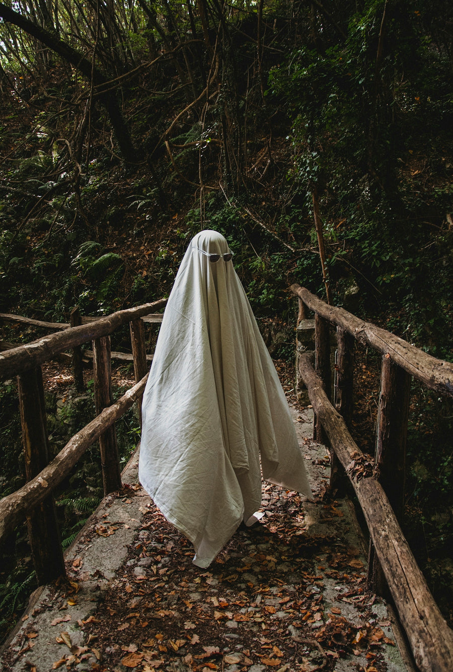 a ghost is walking across a bridge in the woods