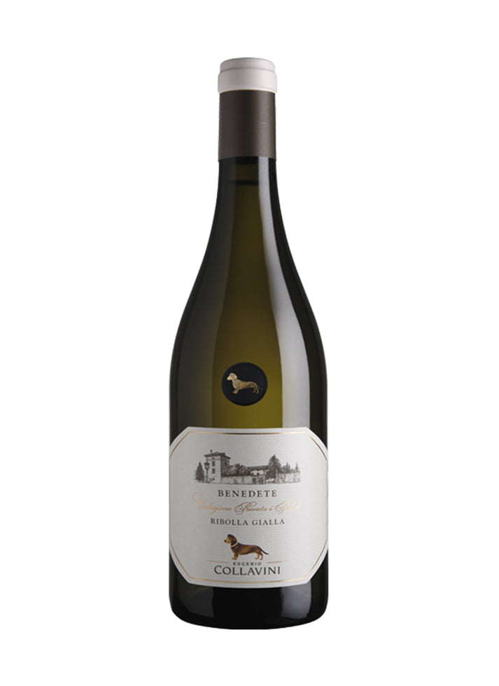 Collavini Benedete Ribolla Gialla 2024