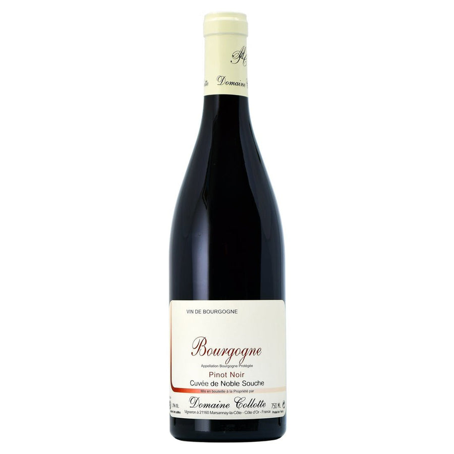 Domaine Collotte Bourgogne Pinot Noir Cuvée de Noble Souche 2023 - Caravan Wines & Spirits