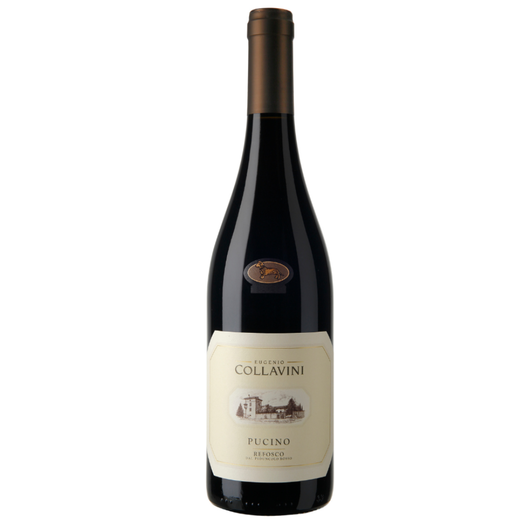 Eugenio Collavini Pucino Refosco dal Peduncolo 2021