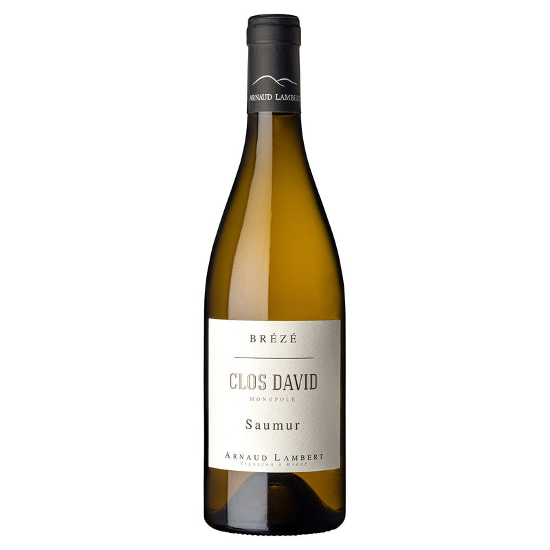 Arnaud Lambert Brézé Clos David Saumur Blanc 2017 MAGNUM