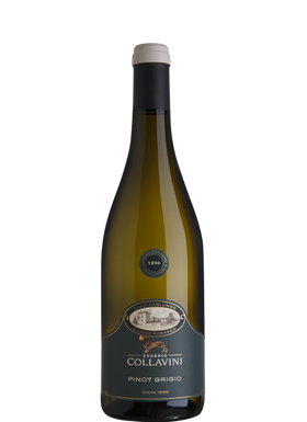 Eugenio Collavini Pinot Grigio Canlungo 2020